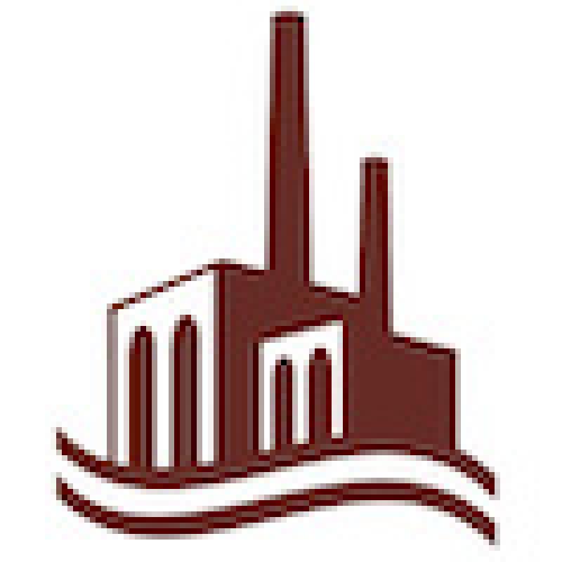 Logo: Rhein-Neckar-Industriekultur.de