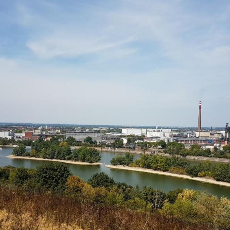 Blick vom Müllberg Mannheim