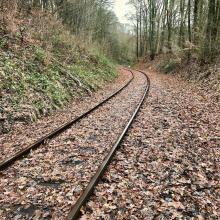 Überwaldbahn Richtung Viadukt Kreidach, Foto Lutz Walzel 2021