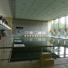 Schwimmbecken 2017 (Foto: Ritter)
