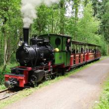Fahrbetrieb mit Dampf-Lok Quelle: stumpfwaldbahn.de