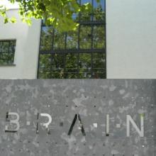BRAIN- Das neue Logo - der neue Besitzer (Foto: Ritter)