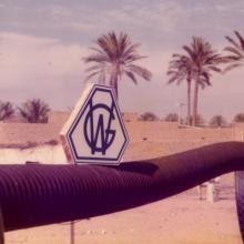 Firmenlogo auf einem Schlauch vor Palmen in Nordafrika (?) - Quelle: Stadtarchiv Weinheim
