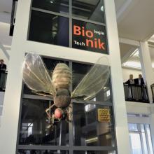 Ausstellungseinheit Bionik