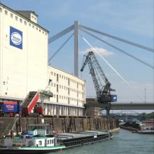 Kurt-Schumacher und Adenauer-Brücke vom Rhein aus