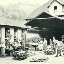 Sortieren von Rohfellen - Foto Carl Schütte um 1899 - Quelle: Stadtarchiv Weinheim